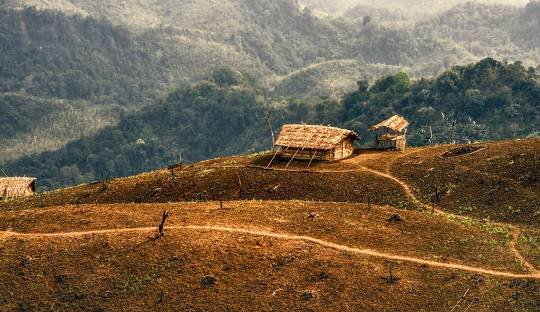 Nagaland